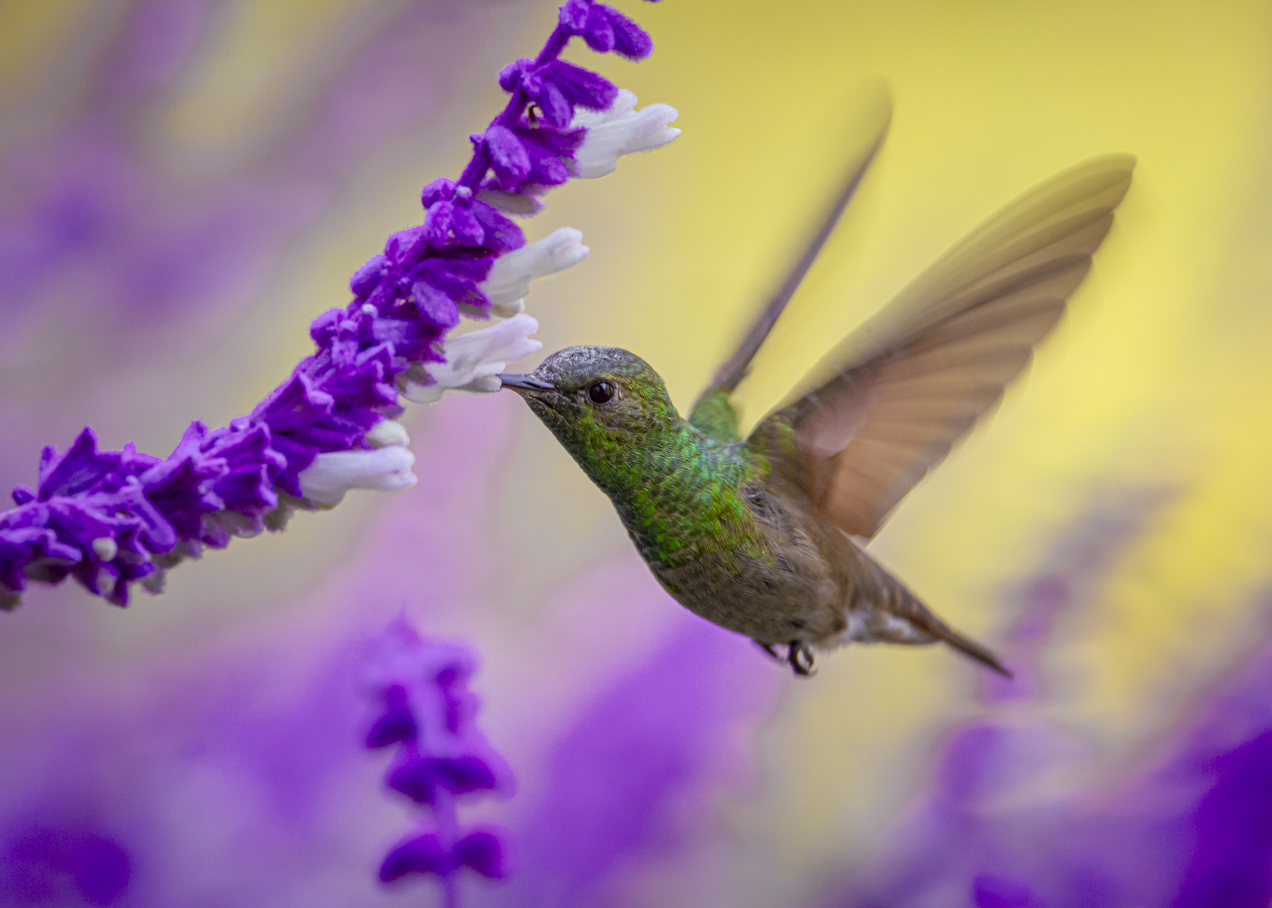 Naturaleza